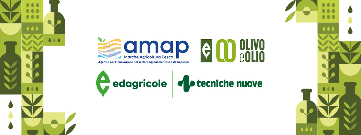 Richiesta portale id: 91 - a03dY000007rVcnQAE