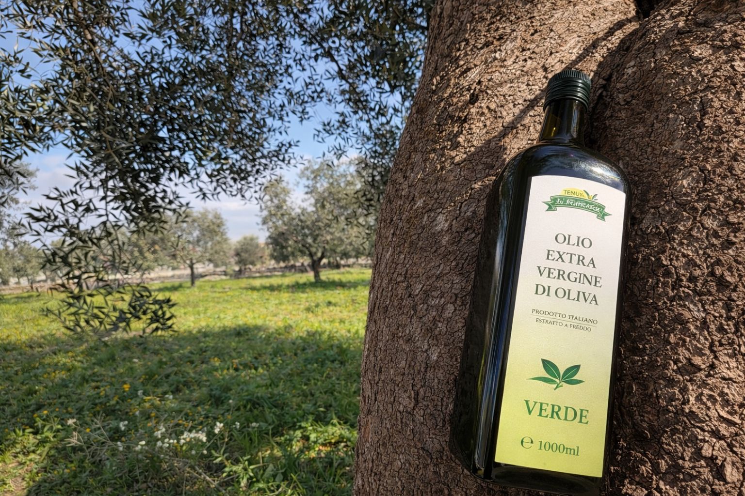 Tenuta Francesca- Verde