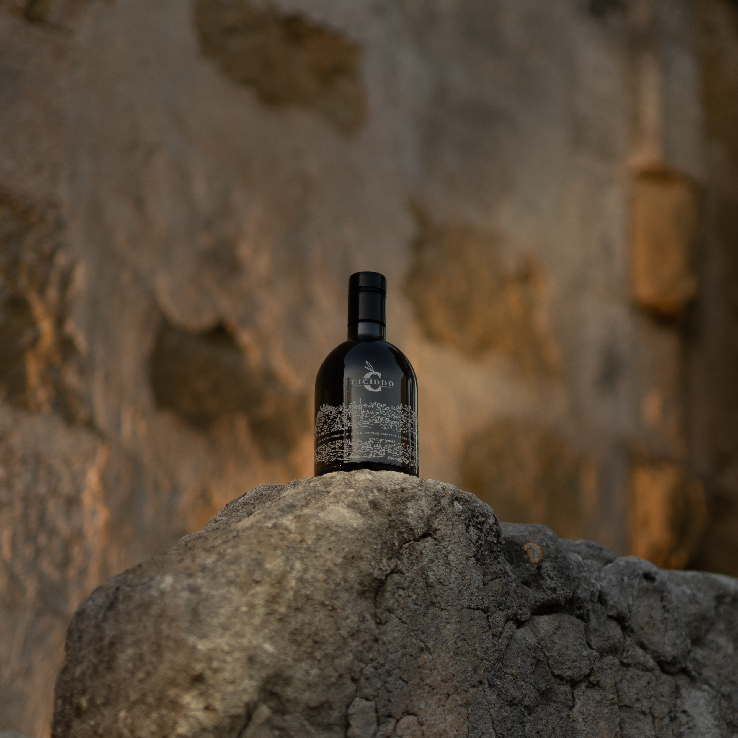 MONOCULTIVAR LECCINO - OLIO CICIDDO